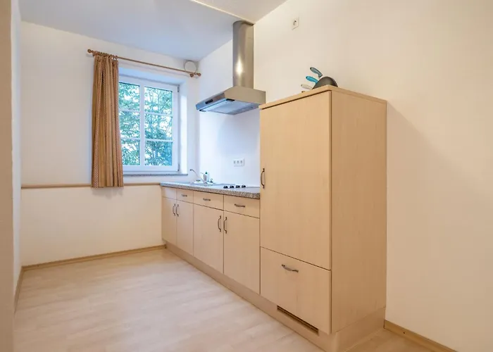 酒店 阿尔特帕斯特酒店 希格斯多夫