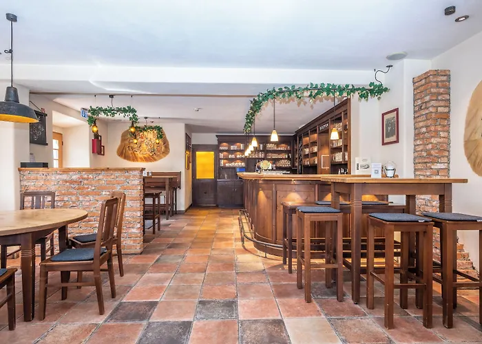 阿尔特帕斯特酒店 酒店